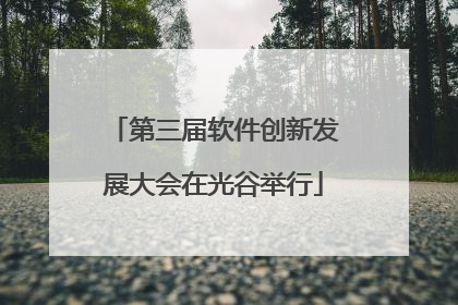 第三届软件创新发展大会在光谷举行