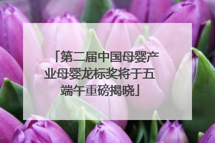 第二届中国母婴产业母婴龙标奖将于五端午重磅揭晓