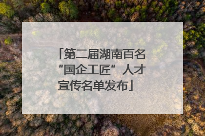 第二届湖南百名“国企工匠”人才宣传名单发布