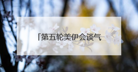 第五轮美伊会谈气氛良好 铀浓缩问题存在妥协可能