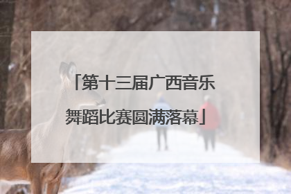 第十三届广西音乐舞蹈比赛圆满落幕