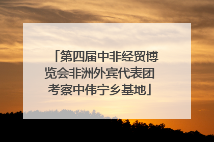 第四届中非经贸博览会非洲外宾代表团考察中伟宁乡基地