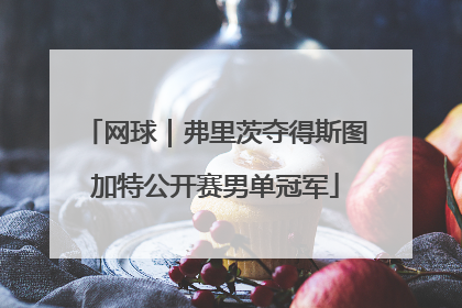 网球｜弗里茨夺得斯图加特公开赛男单冠军