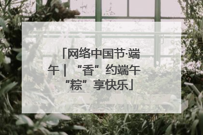 网络中国节·端午｜“香”约端午 “粽”享快乐