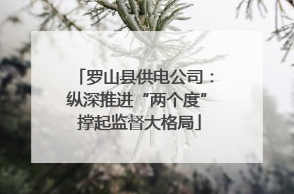罗山县供电公司：纵深推进“两个度” 撑起监督大格局