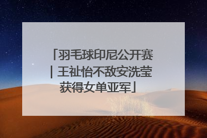 羽毛球印尼公开赛｜王祉怡不敌安洗莹 获得女单亚军