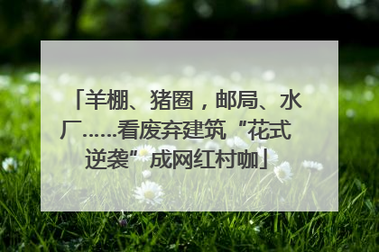 羊棚、猪圈，邮局、水厂……看废弃建筑“花式逆袭”成网红村咖