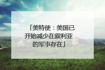 美特使：美国已开始减少在叙利亚的军事存在