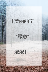 美丽西宁 “绿意”浓浓