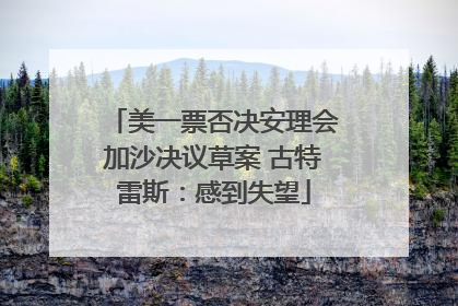 美一票否决安理会加沙决议草案 古特雷斯：感到失望