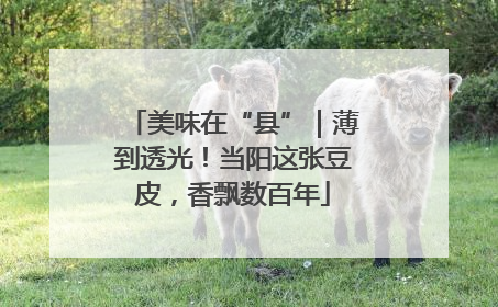 美味在“县”｜薄到透光！当阳这张豆皮，香飘数百年