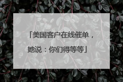 美国客户在线催单，她说：你们得等等