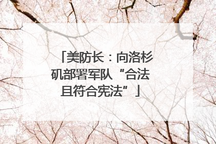 美防长：向洛杉矶部署军队“合法且符合宪法”