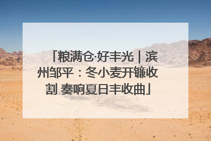 粮满仓·好丰光｜滨州邹平：冬小麦开镰收割 奏响夏日丰收曲