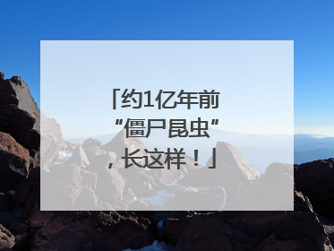 约1亿年前“僵尸昆虫”，长这样！