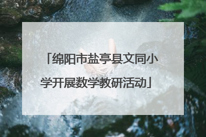 绵阳市盐亭县文同小学开展数学教研活动