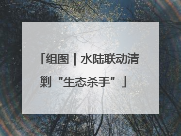 组图｜水陆联动清剿“生态杀手”
