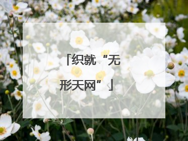 织就“无形天网”