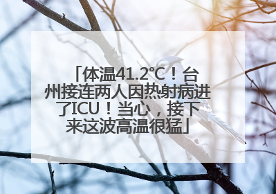 体温41.2℃！台州接连两人因热射病进了ICU！当心，接下来这波高温很猛