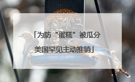 为防“蛋糕”被瓜分 美国罕见主动推销