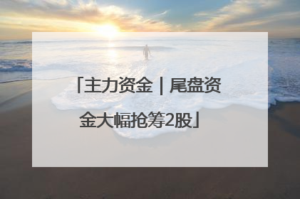 主力资金｜尾盘资金大幅抢筹2股