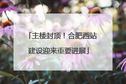主楼封顶！合肥西站建设迎来重要进展