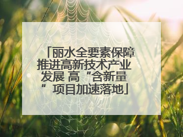 丽水全要素保障推进高新技术产业发展 高“含新量”项目加速落地