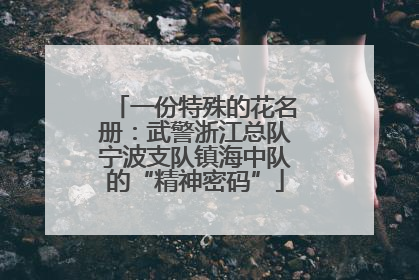 一份特殊的花名册：武警浙江总队宁波支队镇海中队的“精神密码”