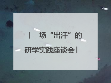 一场“出汗”的研学实践座谈会