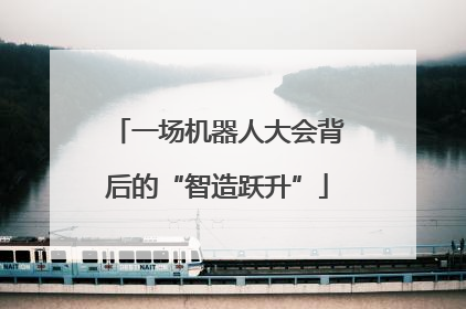 一场机器人大会背后的“智造跃升”