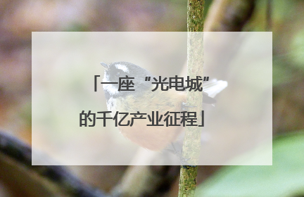 一座“光电城”的千亿产业征程