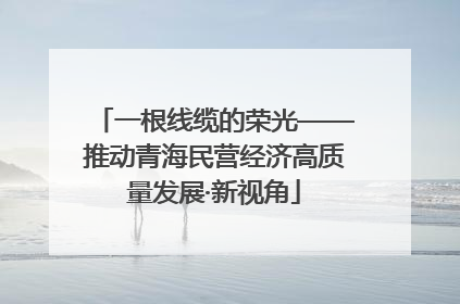 一根线缆的荣光——推动青海民营经济高质量发展·新视角
