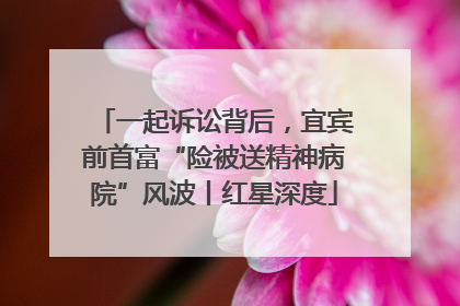 一起诉讼背后，宜宾前首富“险被送精神病院”风波丨红星深度