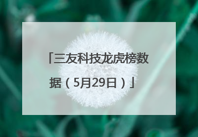 三友科技龙虎榜数据（5月29日）