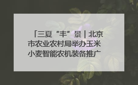 三夏“丰”景｜北京市农业农村局举办玉米小麦智能农机装备推广“田间日”活动