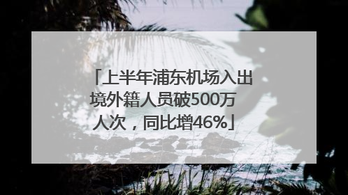 上半年浦东机场入出境外籍人员破500万人次，同比增46%