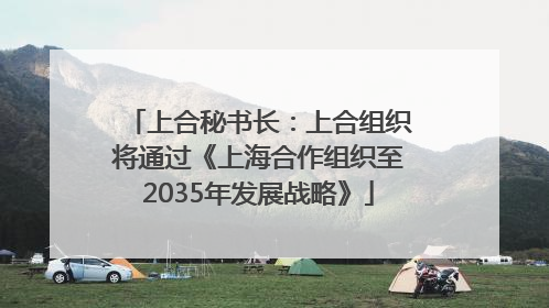 上合秘书长：上合组织将通过《上海合作组织至2035年发展战略》