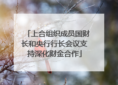 上合组织成员国财长和央行行长会议支持深化财金合作