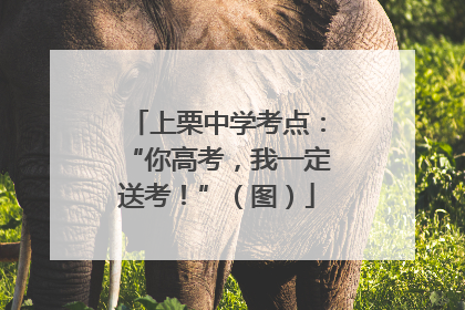 上栗中学考点：“你高考，我一定送考！”（图）