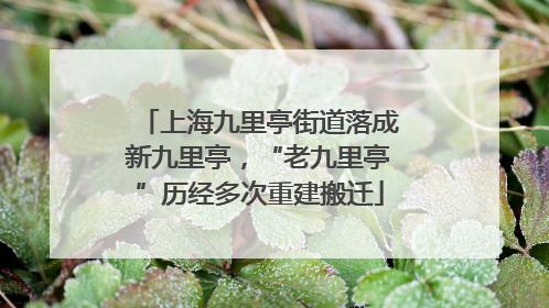 上海九里亭街道落成新九里亭，“老九里亭”历经多次重建搬迁
