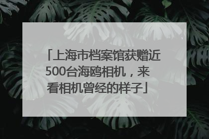 上海市档案馆获赠近500台海鸥相机，来看相机曾经的样子