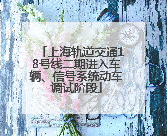 上海轨道交通18号线二期进入车辆、信号系统动车调试阶段