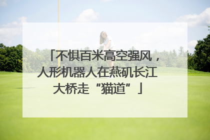 不惧百米高空强风，人形机器人在燕矶长江大桥走“猫道”