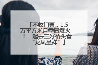 不收门票，1.5万平方米月季园爆火！一起去三好桥头看“龙凤呈祥”