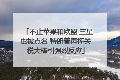 不止苹果和欧盟 三星也被点名 特朗普再挥关税大棒引强烈反应