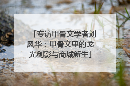 专访甲骨文学者刘风华：甲骨文里的戈光剑影与商城新生