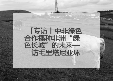 专访丨中非绿色合作播种非洲“绿色长城”的未来——访毛里塔尼亚环境部长拉格达夫