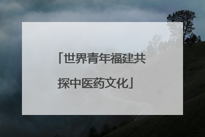 世界青年福建共探中医药文化