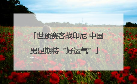世预赛客战印尼 中国男足期待“好运气”