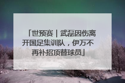世预赛｜武磊因伤离开国足集训队，伊万不再补招顶替球员